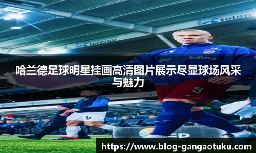 哈兰德足球明星挂画高清图片展示尽显球场风采与魅力